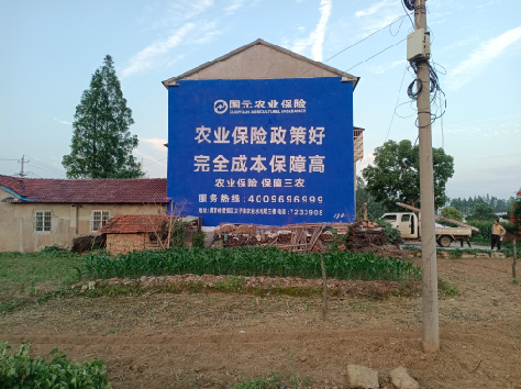 恭城墙体广告为何受追捧？